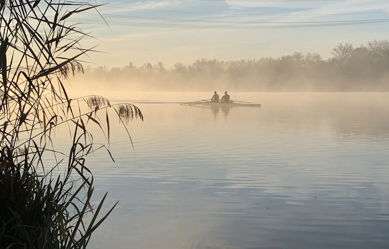 Home Ruderer auf dem Rhein im Morgennebel