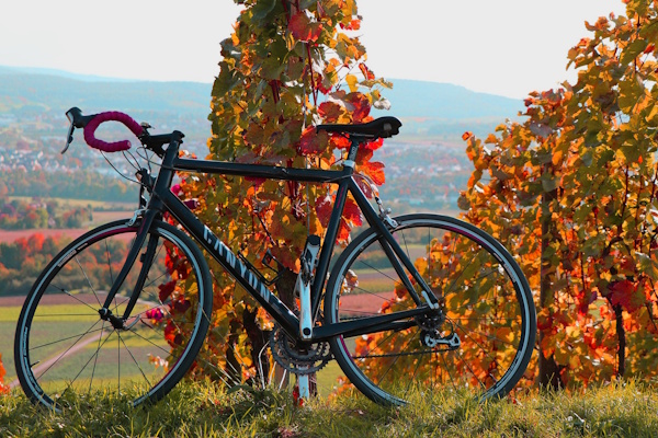 Around - English Bild eines Rennrads vor herbstlichen Weinreben