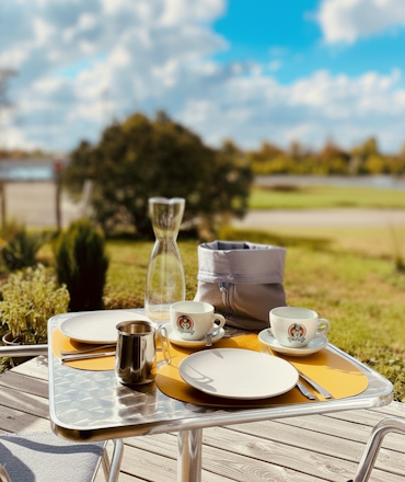 Blick von der Terrasse auf den Rhein